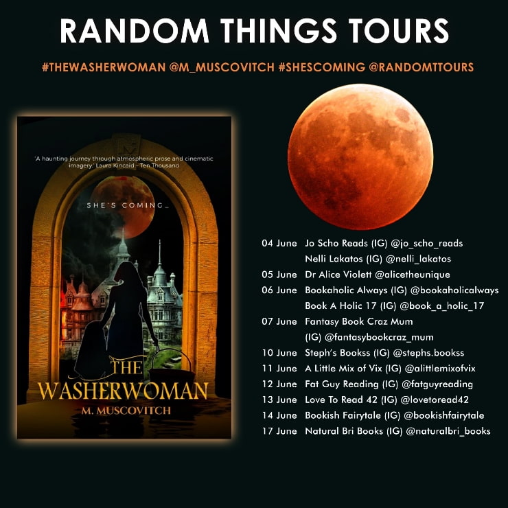 The Washerwoman blog tour banner